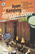 Beternak Ayam Kampung Tanpa Bau