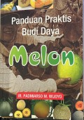 Panduan Praktis Budi Daya Melon