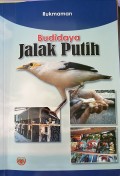 Budidaya Jalak Putih
